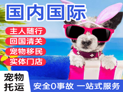 阿拉善机场快递国际宠物托运 【国